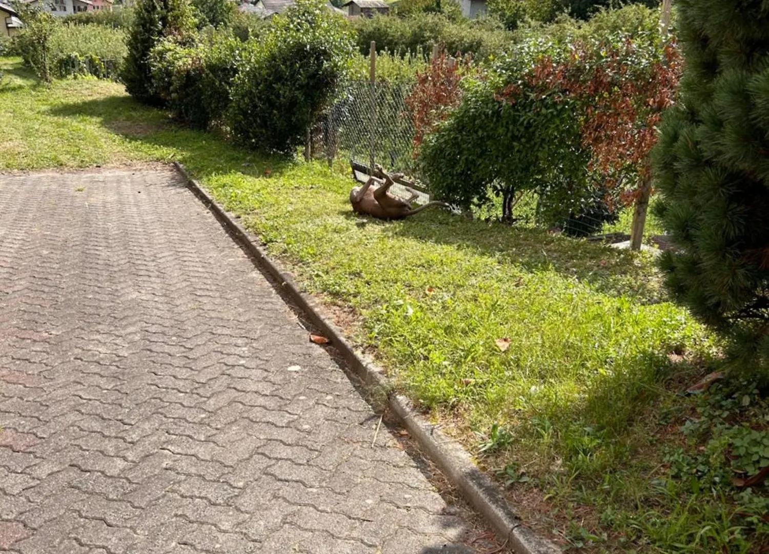 Valtellinda Βίλα Bianzone Σπίτι διακοπών