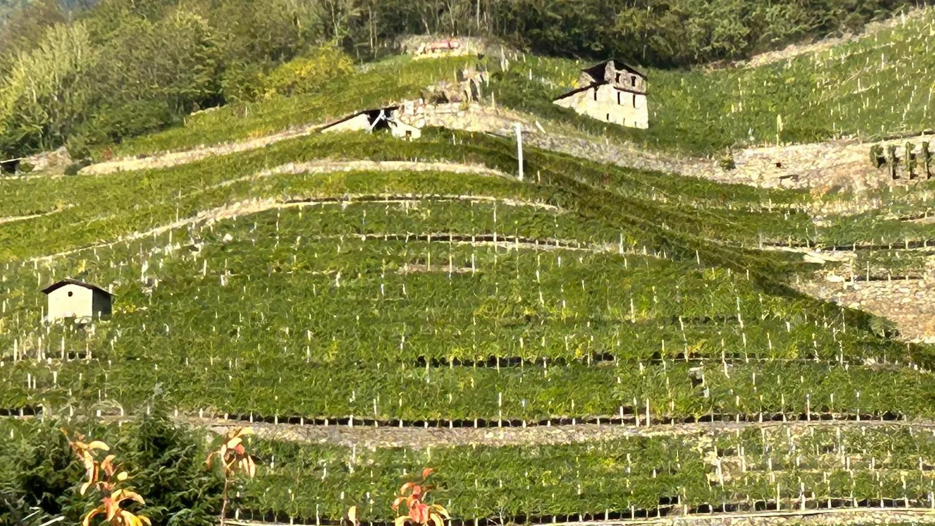 Valtellinda Βίλα Bianzone Σπίτι διακοπών