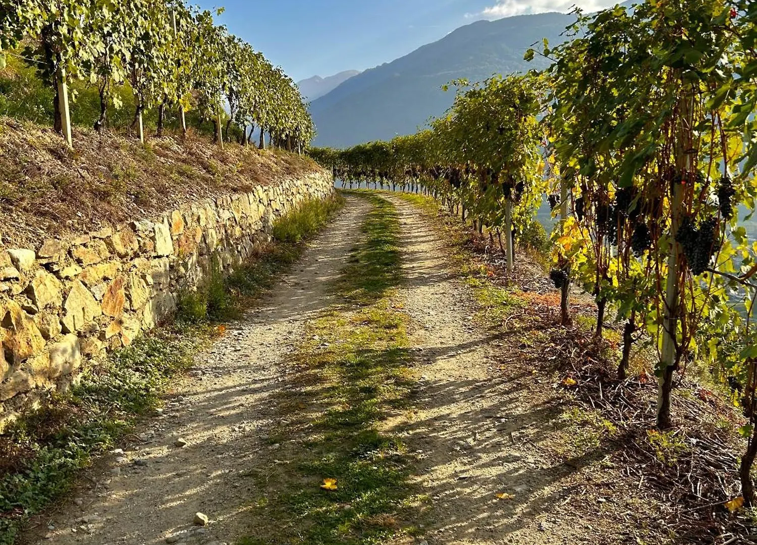 Valtellinda Villa Bianzone Italy