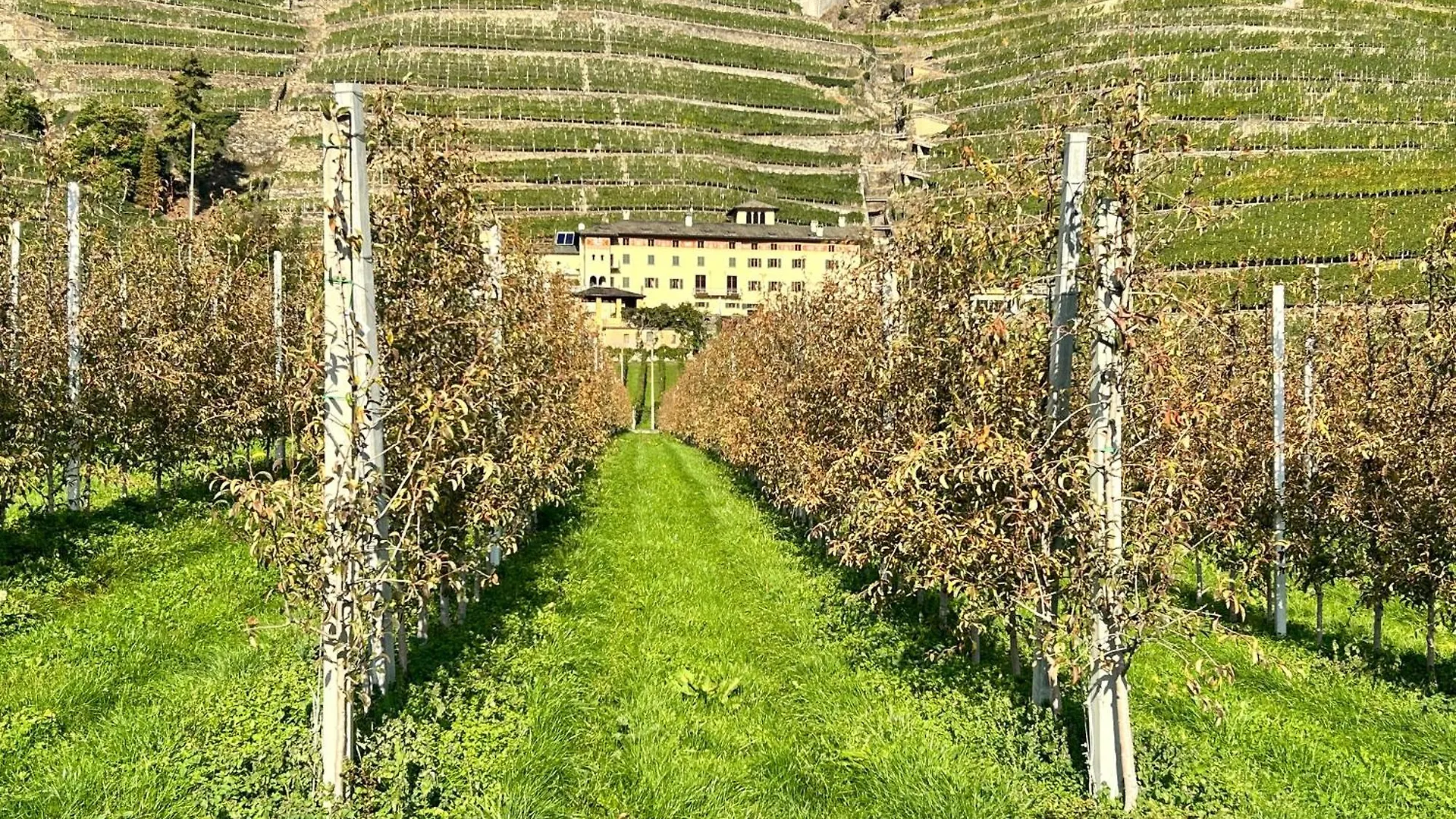 Valtellinda Villa Bianzone 0*,